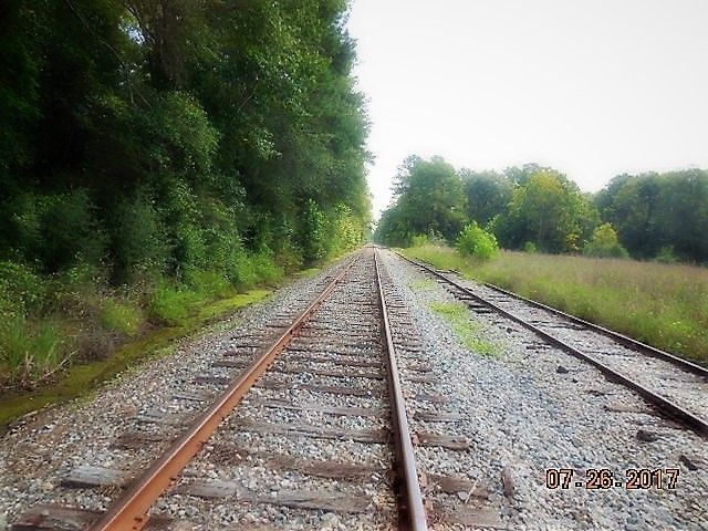 0 HWY 134 , Daleville, AL 36322